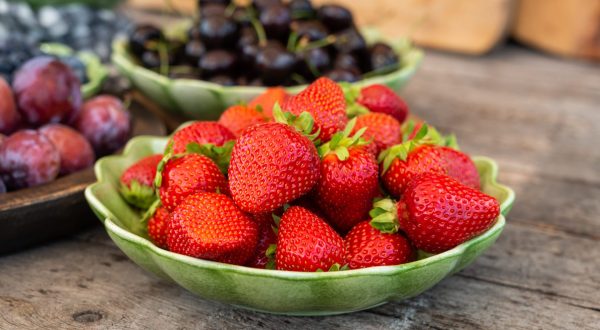 Boerensluisweg1 | 1732 NP Lutjewinkel | 06-22973526 | info@edwinrustenburg.nl | www.edwinrustenburg.nl